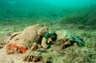 In a few meters of water, we spotted archeological remains © Philippe Henry / OCEAN71 Magazine