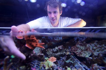 Johan avec un pied mère de Montipora Digitata rouge. Appelé aussi corail doigts/ Velvet Finger Coral © Philippe Henry / OCEAN71 Magazine