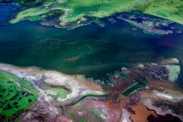 Zones humides à proximité du port d'Abbot Point. Il est probable qu'un développement industriel dans la région vienne rompre l'équilibre fragile de ces étendues sauvages © Tom Jefferson / Greenpeace