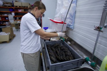 Au DRASSM, la conservation des objets ayant séjourné lontemps dans l'eau salée est une priorité © Francis Le Guen / OCEAN71 Magazine