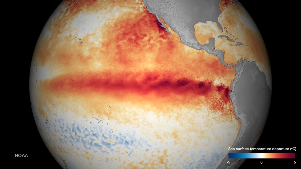 In 2015, the Central El Niño anomaly is so powerful that it reaches up to Mexico to fuel hurricanes such as Patricia © NOAA