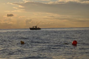 The smart-drumlines are mostly baited at night, here in the waters of the National Marine Reserve of Réunion Island © Andy Guinand / OCEAN71 Magazine